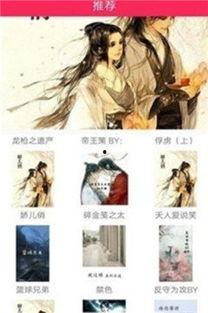 网红私房菜小说,揭秘私房菜背后的传奇故事