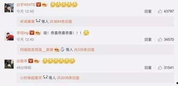 搜狐娱乐爆料热线是多少,揭秘神秘热线号码