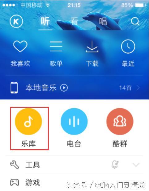 怎么能下载头条的音乐,掌握高效音乐获取技巧