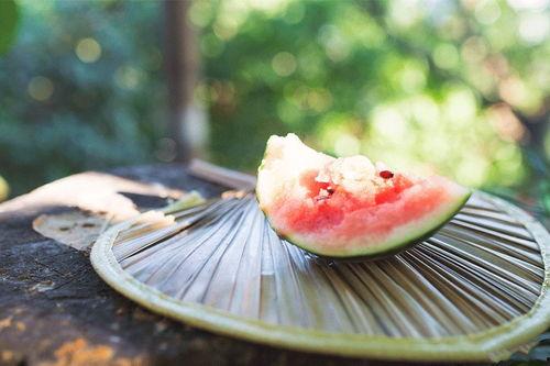 54吃瓜今日吃瓜入口,今日吃瓜入口，揭秘娱乐圈新鲜事