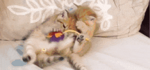 吃瓜哪里吃得最凶狠,揭秘各地吃瓜狂热指数