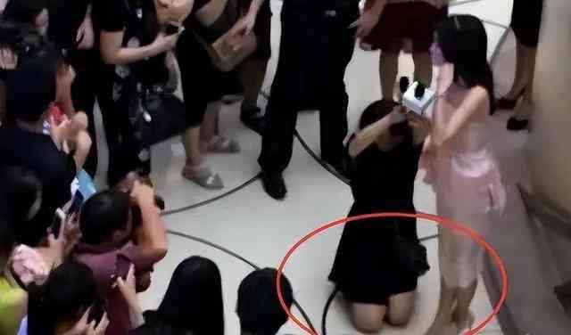 助理给明星下跪,一场感人至深的致敬仪式