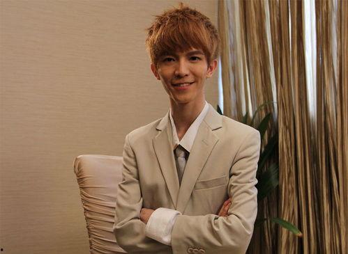 双子明星小说,命运交织的星辰之旅