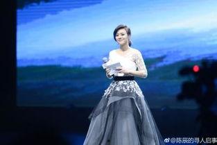 陈辰全明星.,璀璨星河中的璀璨之星