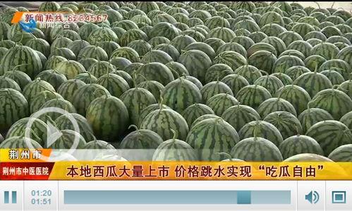 荆州吃瓜事件,一场网络舆论的风暴与反思