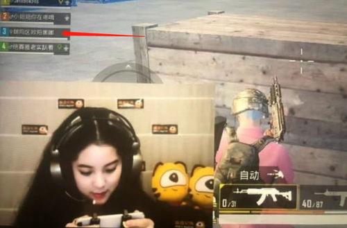 明星玩吃鸡,明星们的吃鸡狂欢记