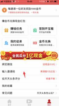 头条苹果在哪填邀请码,轻松解锁苹果产品新体验”